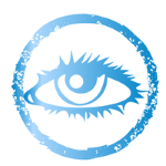 vision1 vision1